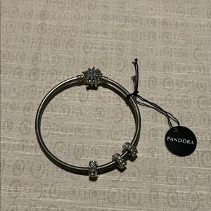 Pandora Silver Bracelet with Charms